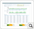 capacity planning report fine grain average