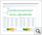 capacity planning report